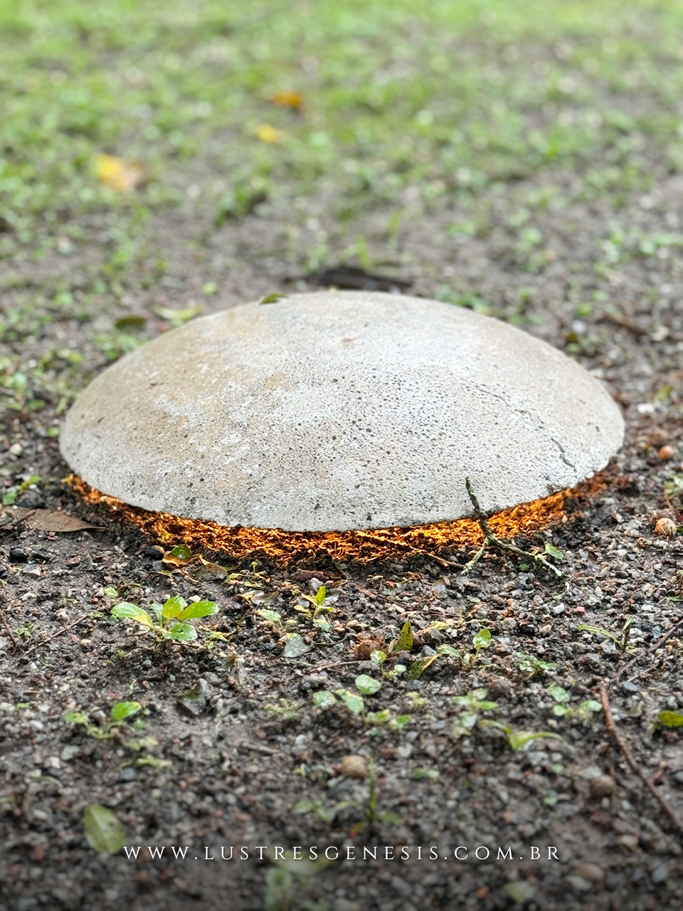 Tartaruga Bella Italia: Design Brutalista para Projetos Externos